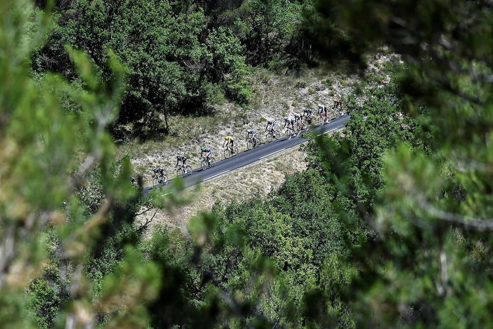 The peloton in action during stage 12 at the Tour de France.