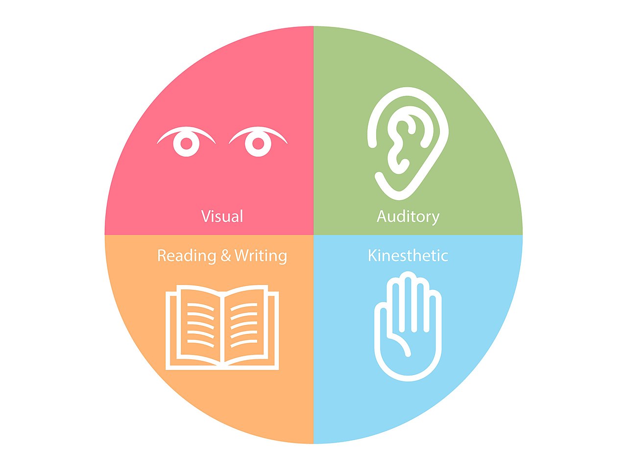 kinesthetic and visual learning