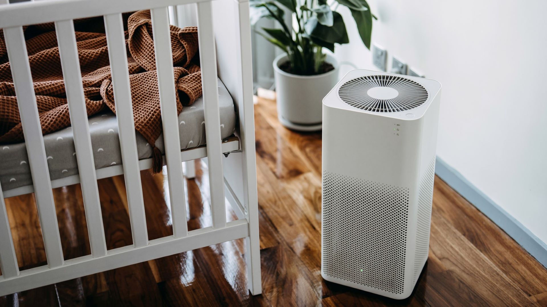 Best Air Purifiers for Allergies and Asthma
