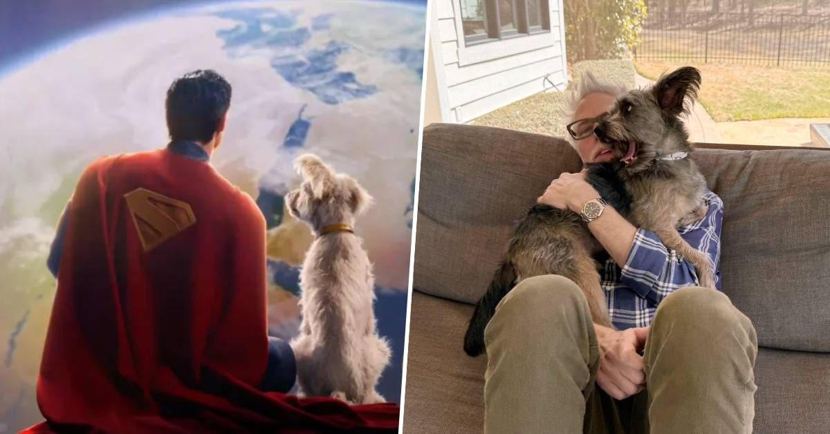 James Gunn shares first look at Superman’s dog Krypto in the 2025 movie ...