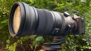 Sigma 150-600mm f/5-6.3 DG DN OS Sports