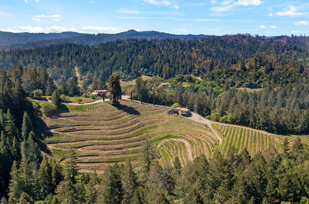 vineyard property near Healdsburg listed for sale by Sotheby's International Realty.