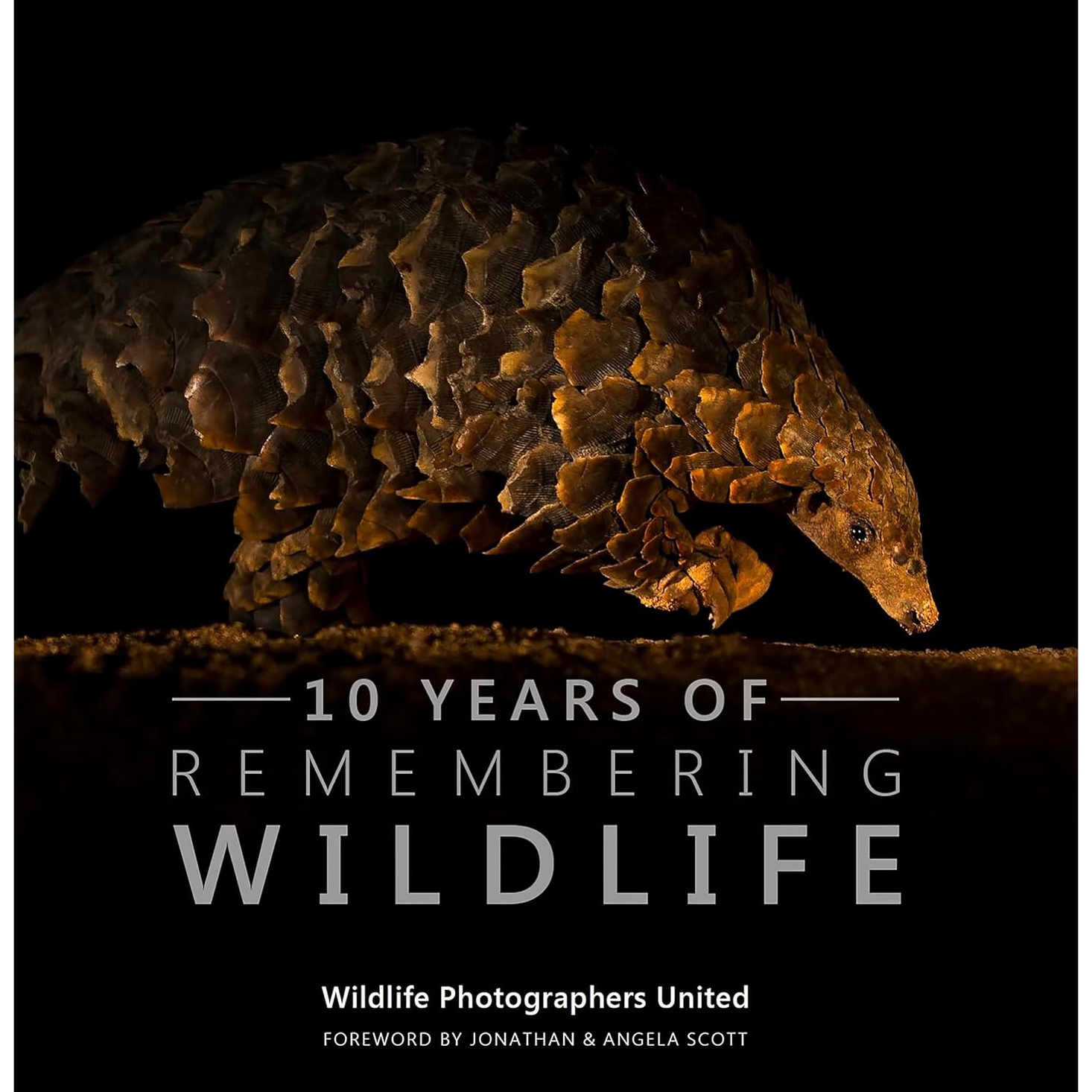 book cover of 10 years of remembering wildlife