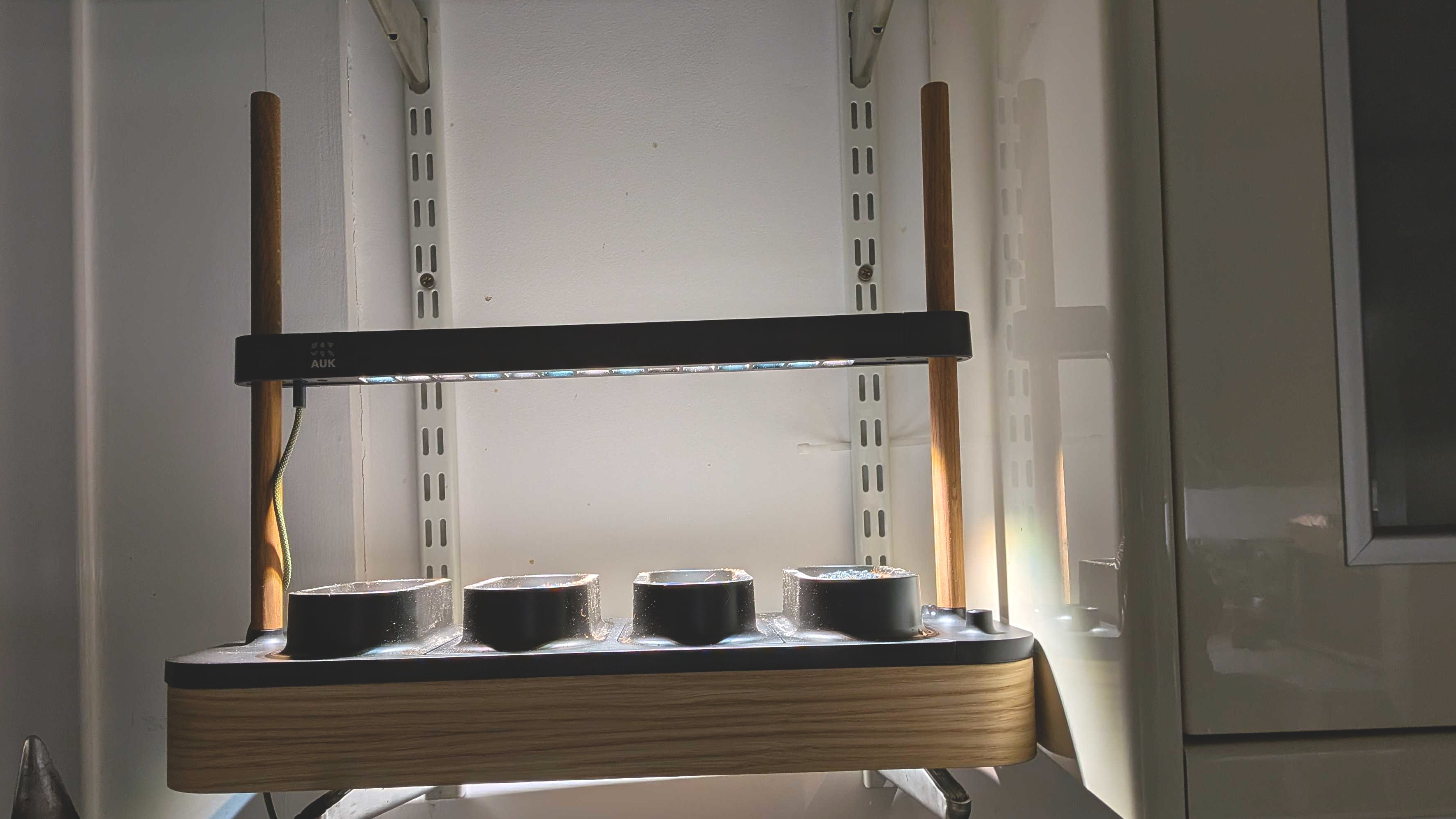 Auk Mini 2 on shelf