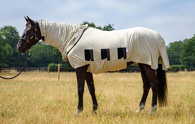 Snuggy Hoods Bug Body Fly Rug review