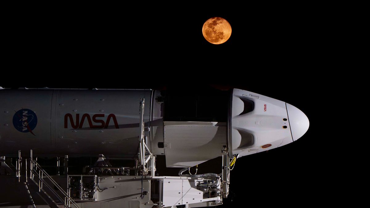 SpaceX lanza un cohete y una cápsula para lanzar astronautas Crew-8 (fotos)