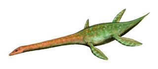 Attenborosaurus conybeari