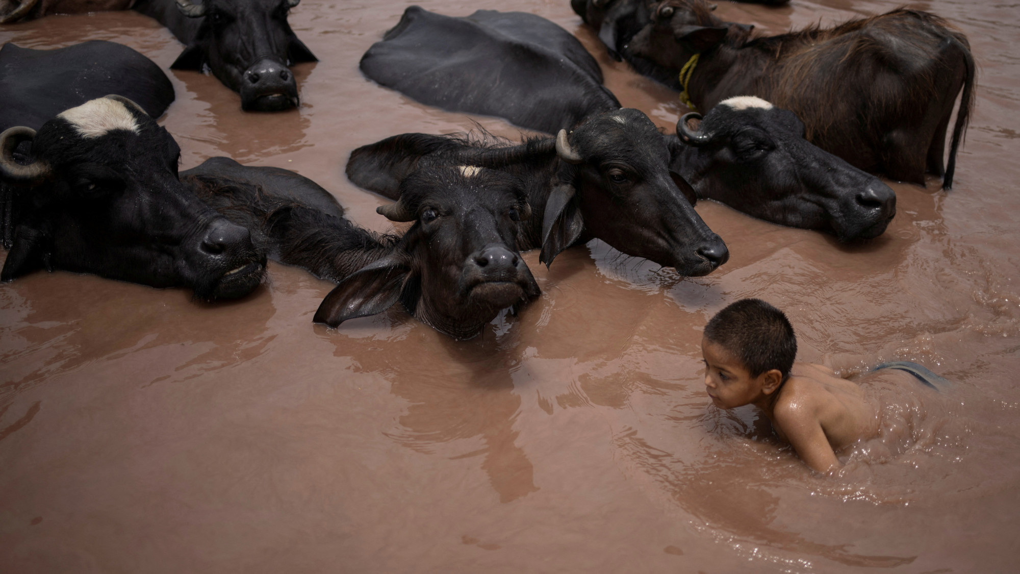 A child swimming