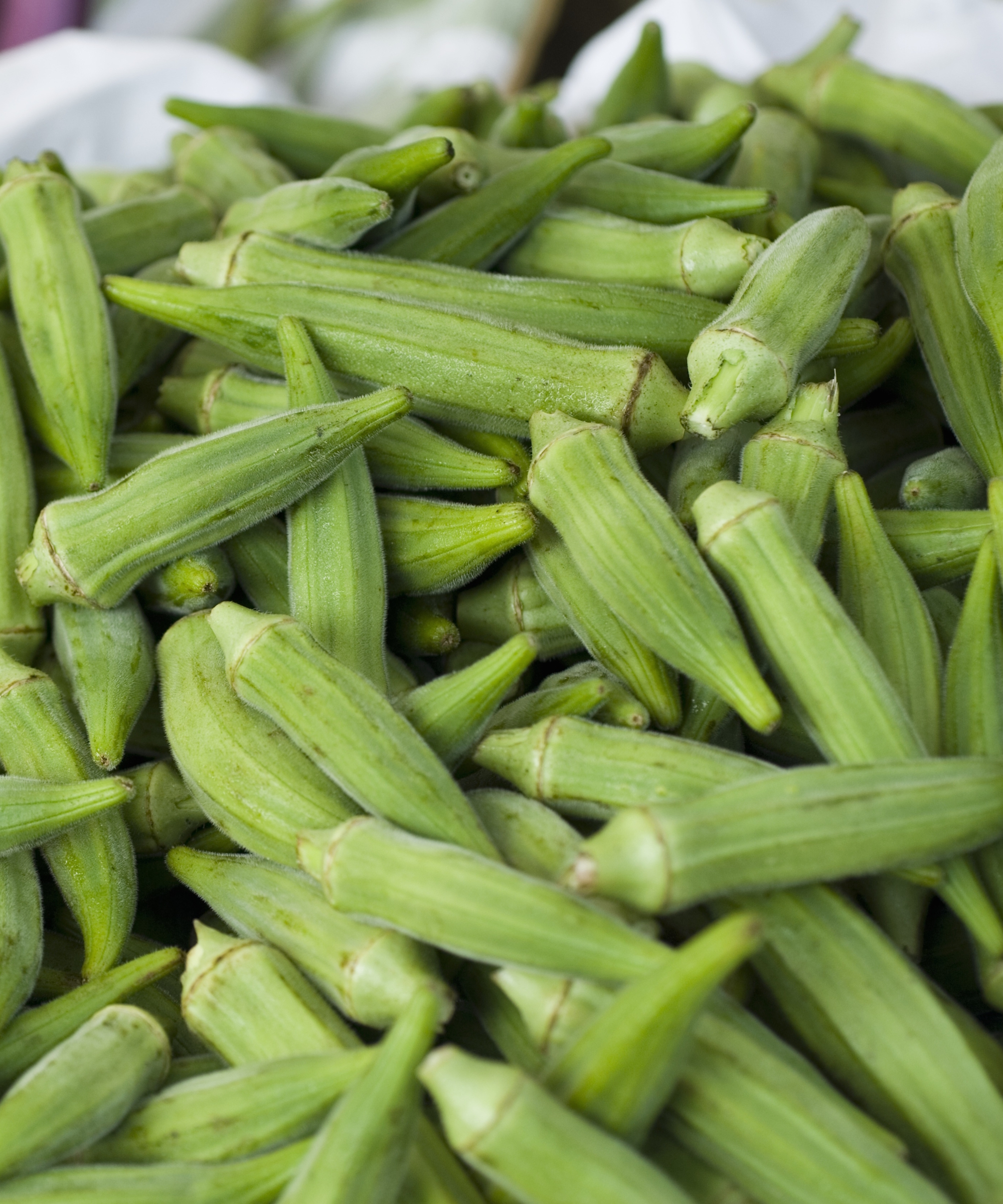 A basket of harvested green okra pods
