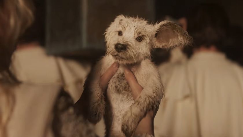 Baby Krypto in the Supergirl trailer 