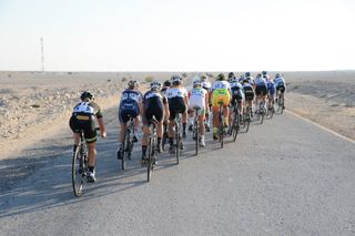 The peloton forms an echelon in the wind
