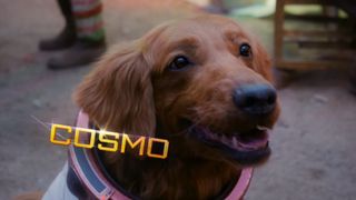 Cosmo the Spacedog in the Guardians of the Galaxy Holiday Special
