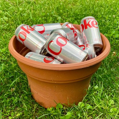 Diet Coke cans in a plant pot