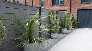 Horizontal slatted composite fence panels in a front garden driveway