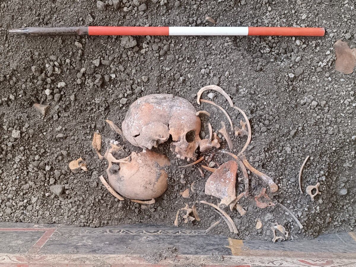 human bones and skulls in the dirt