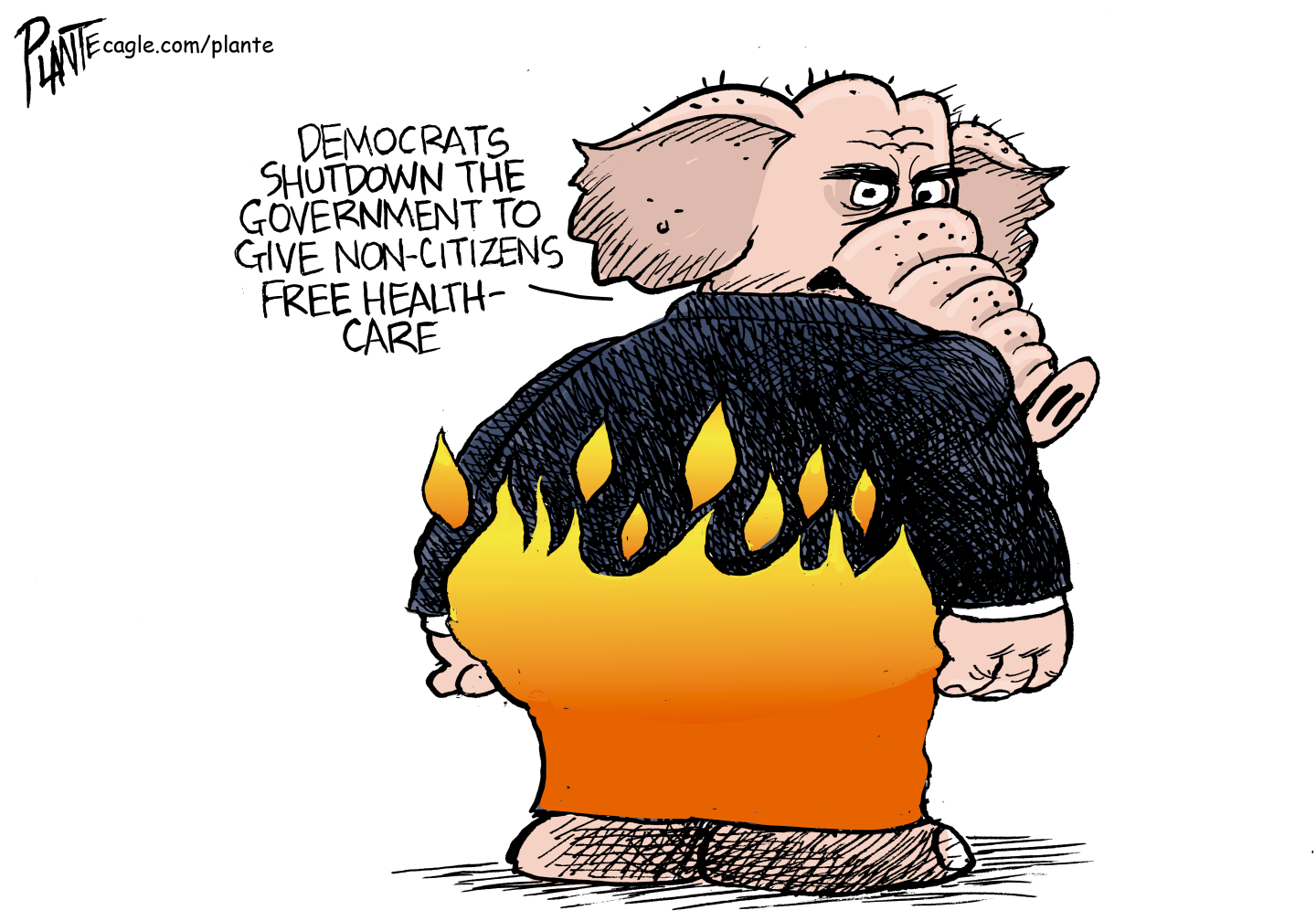 This cartoon depicts an elephant with its pants on fire. He says, &quot;Democrats shut down the government to give non-citizens free health care.&quot;