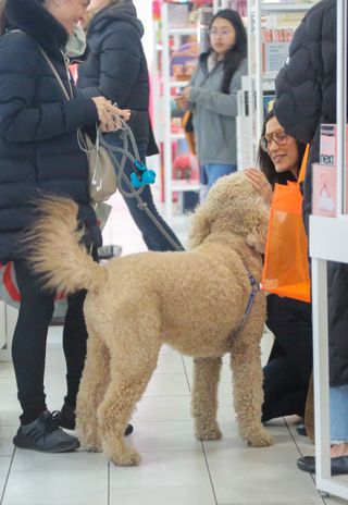 Bella Hadid pets a dog while shopping at Ulta.