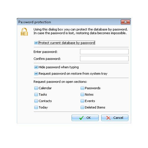 When you use C-Organizer to store personal information, data and passwords, you want to protect the program by password as well.