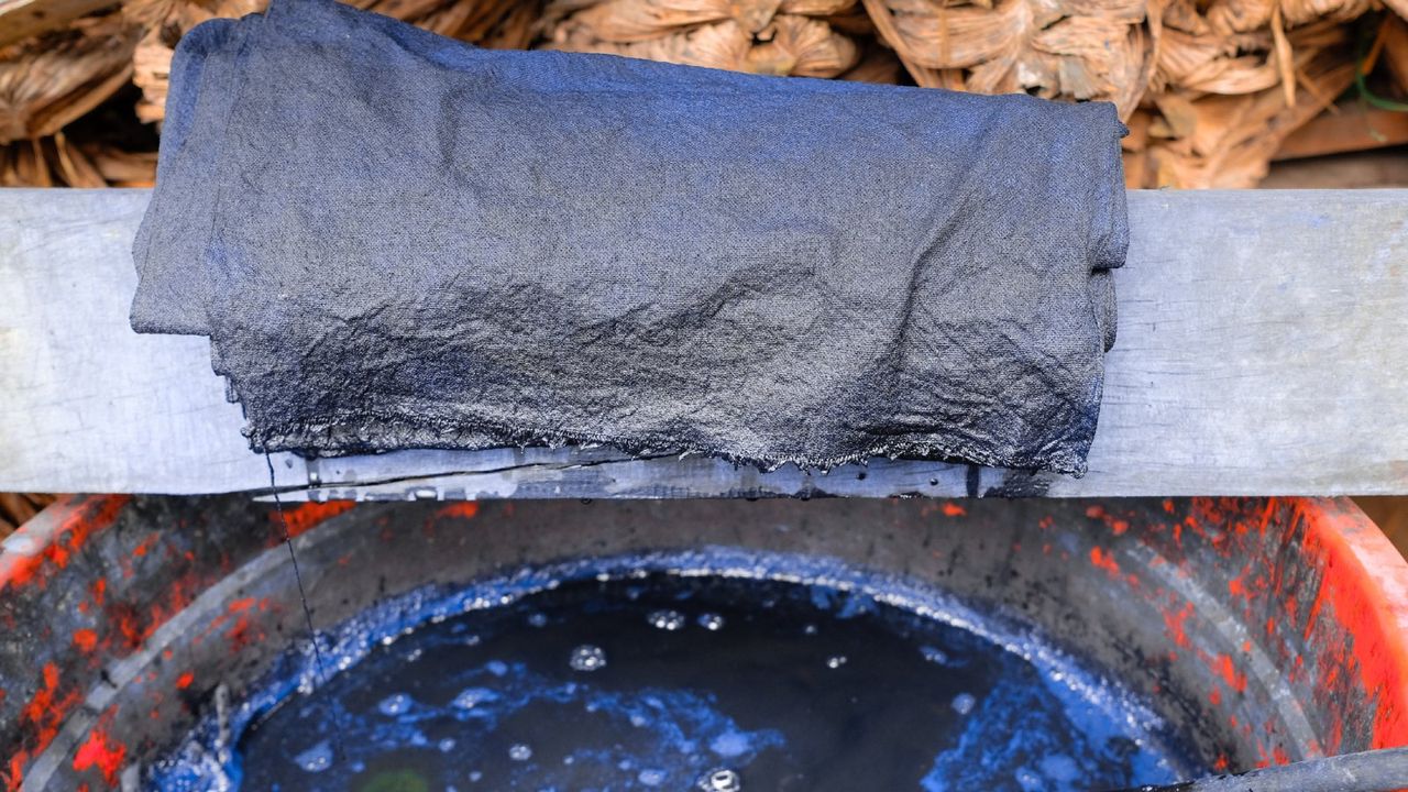 indigo plant dyeing