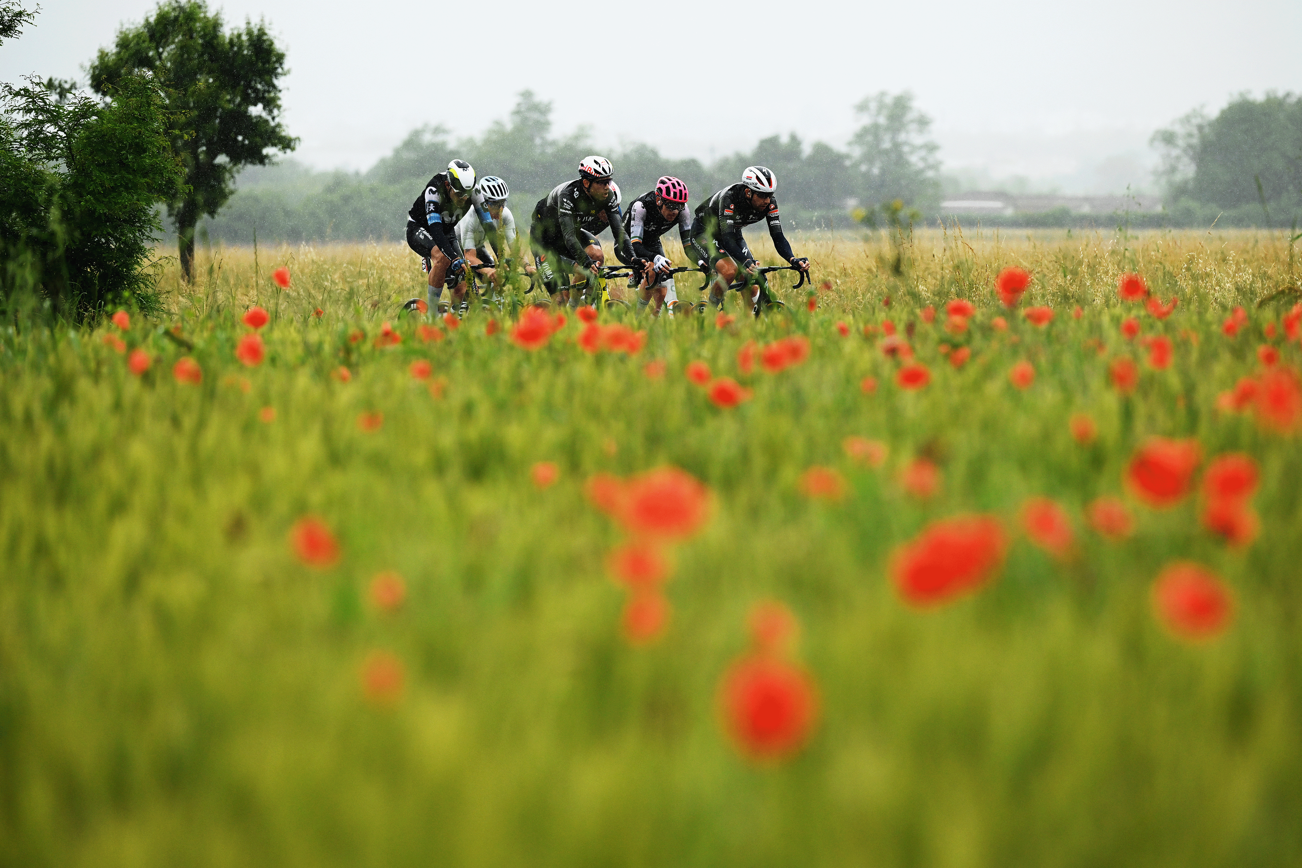 SAN VALENTINO, ITALY - MAY 27: A general view of Mikkel Frolich Honore of Denmark and Team EF Education - EasyPost, Lorenzo Germani of Italy and Team Groupama - FDJ, Joshua Tarling of Great Britain and Team INEOS Grenadiers, Jon Barrenetxea of Spain and Movistar Team, Xabier Mikel Azparren of Spain and Team Q36.5 Pro Cycling, Josef Cerny of Czech Republic and Team Soudal Quick-Step and Wout Van Aert of Belgium and Team Visma | Lease a Bike compete in the breakaway during the 108th Giro d'Italia 2025, Stage 16 a 203km stage from Piazzola sul Brenta to San Valentino (Brentonico) 1316m / #UCIWT / on May 27, 2025 in San Valentino, Italy. (Photo by Dario Belingheri/Getty Images)