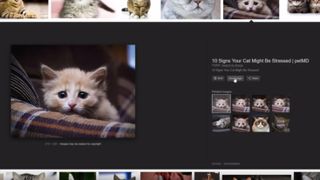 Cursor clicking view image button over a cat photo