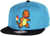 An awesome accessory for any Pokémon fan. This adjustable hat fits most people and is officially licensed. Get it while it's on sale.