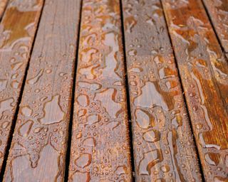 newly stained wet decking in rain