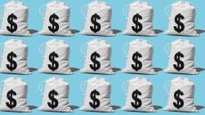 Money bags lined up in rows against a blue background.