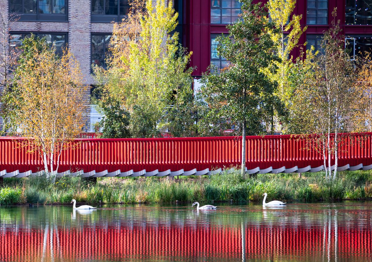 Asif Khan boardwalk at Canada Water