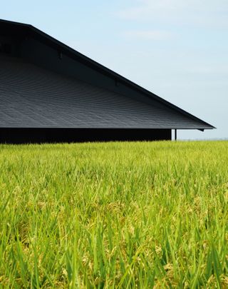 The kura’s walls are clad with a charcoal wood