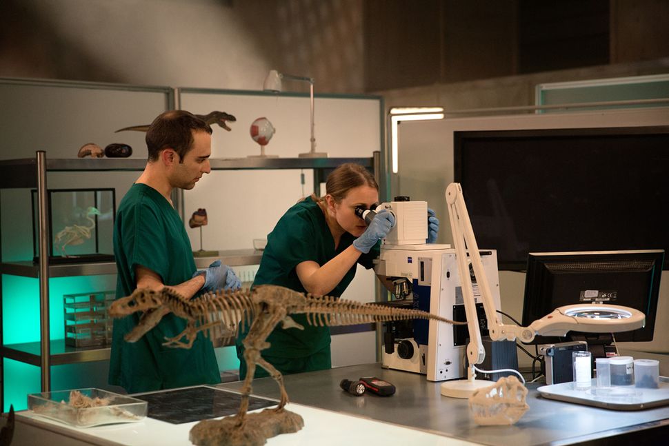 Gory Guts: Photos of a T. Rex Autopsy | Live Science