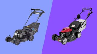 toro vs honda gas lawn mower on purple background