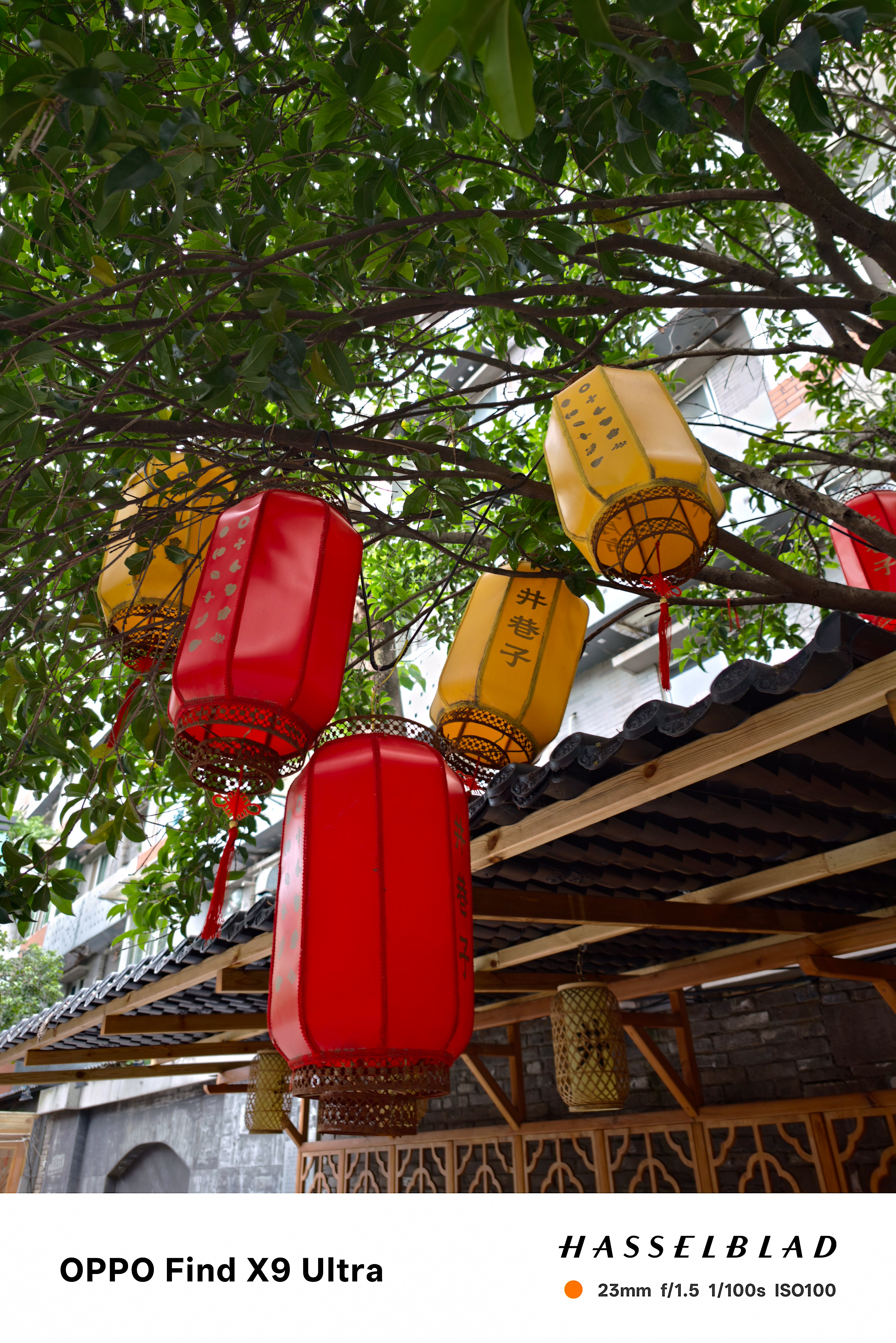 Red and yellow lanterns hanging from tree branches above a wooden roof