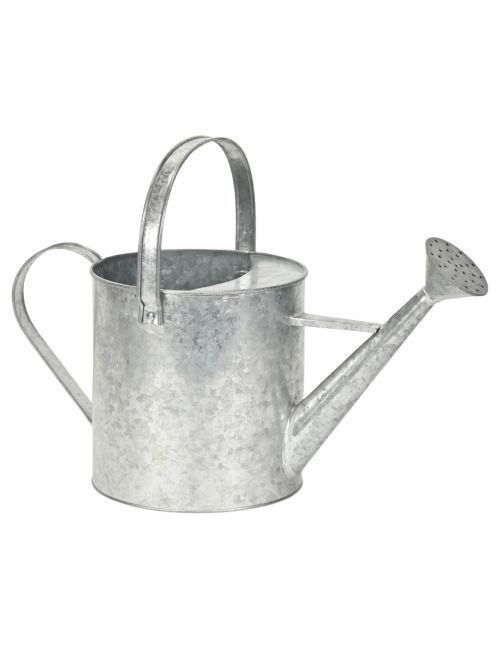Valta Galvanized Metal Decorative Watering Can