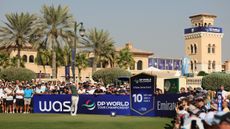 Rory McIlroy in action at the DP World Tour Championship in Dubai