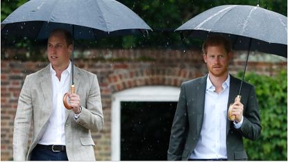 Prince William and Prince Harry visit The Sunken Garden at Kensington Palace on August 30, 2017.