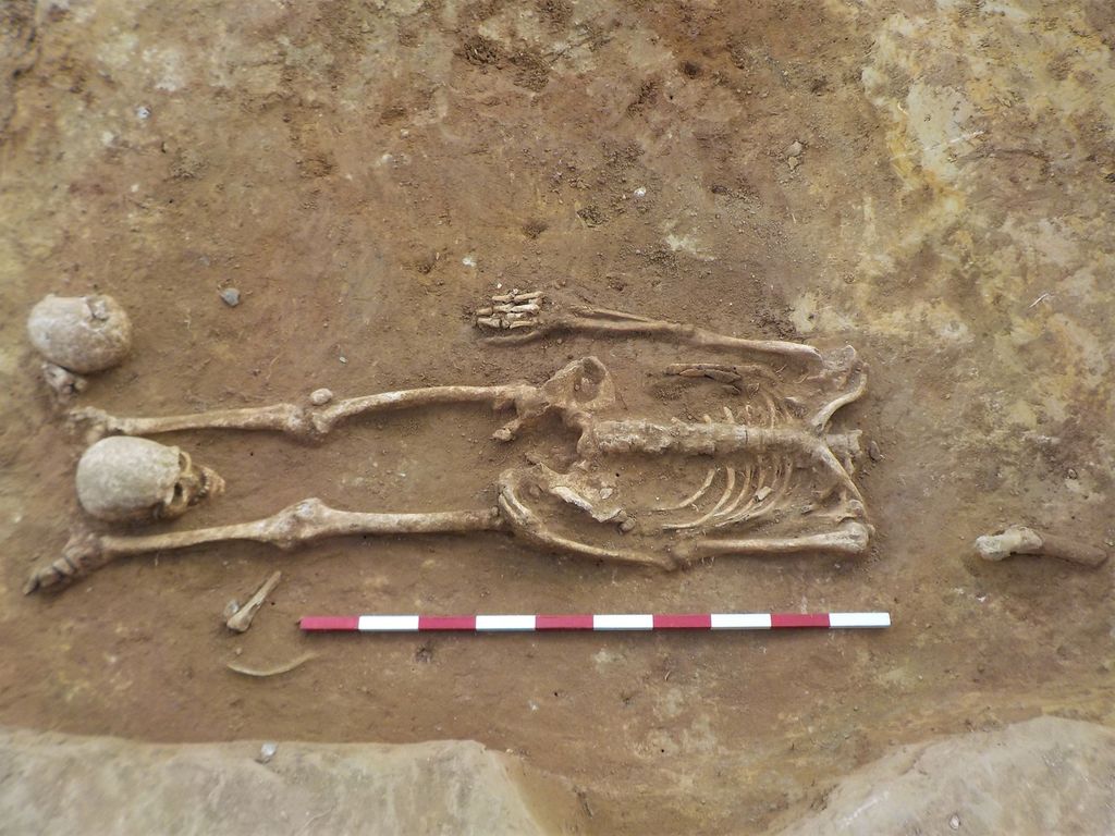 Decapitated Skeletons, with Heads Between Their Legs, Unearthed in ...