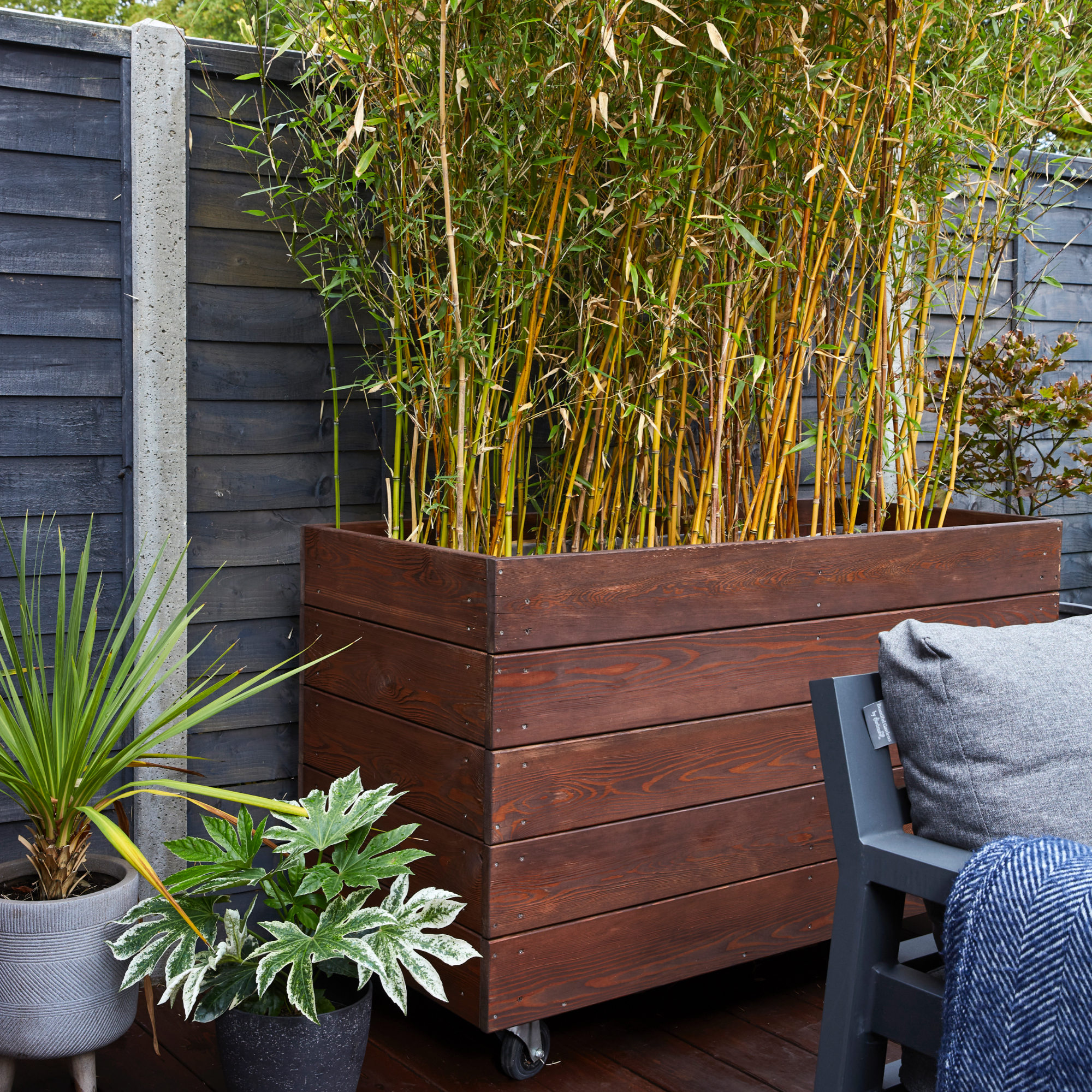 garden with moveable planter with bamboo, chair on the right, painted fence