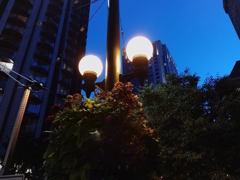 Essential Phone camera sample
