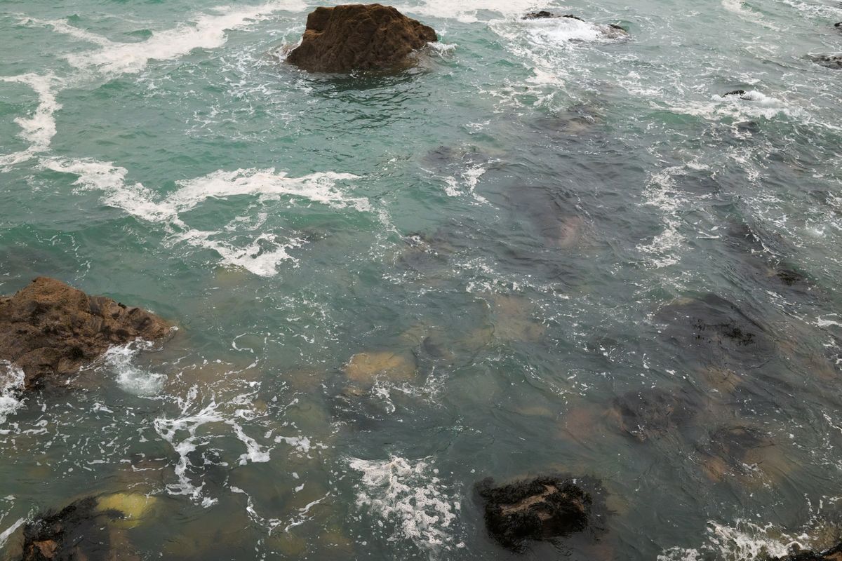 A photo of the sea taken on a Sigma BF camera