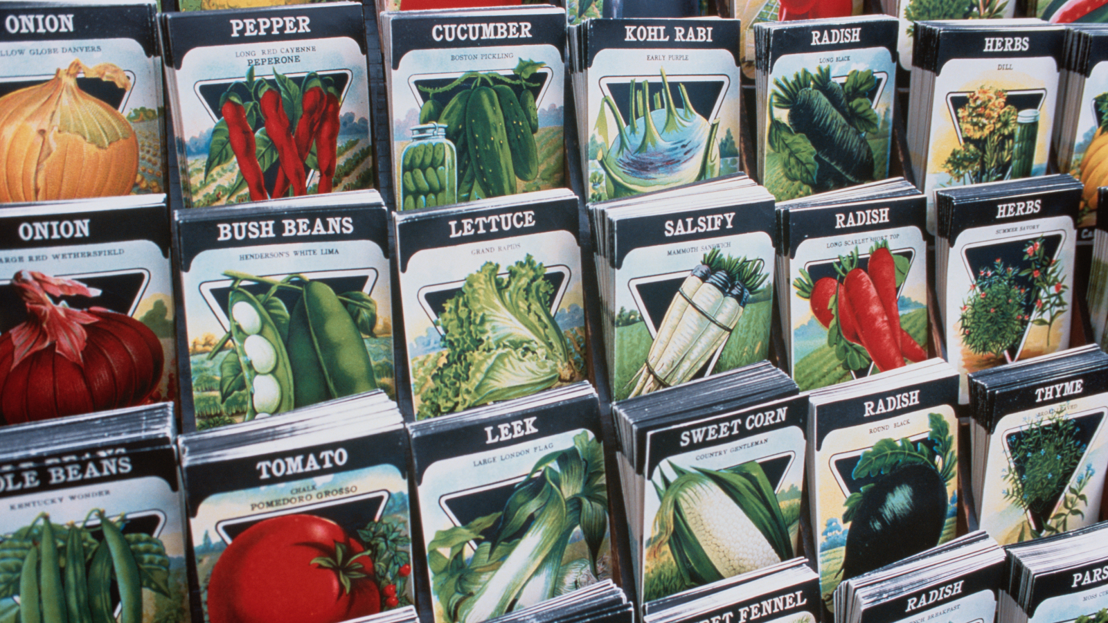 Seed packets in a store
