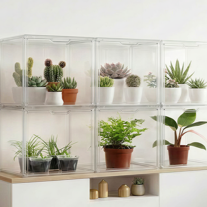 HBlife Mini Greenhouses displayed with houseplants against a wall