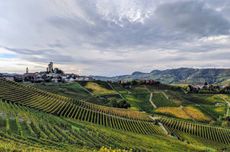 east-facing vineyards