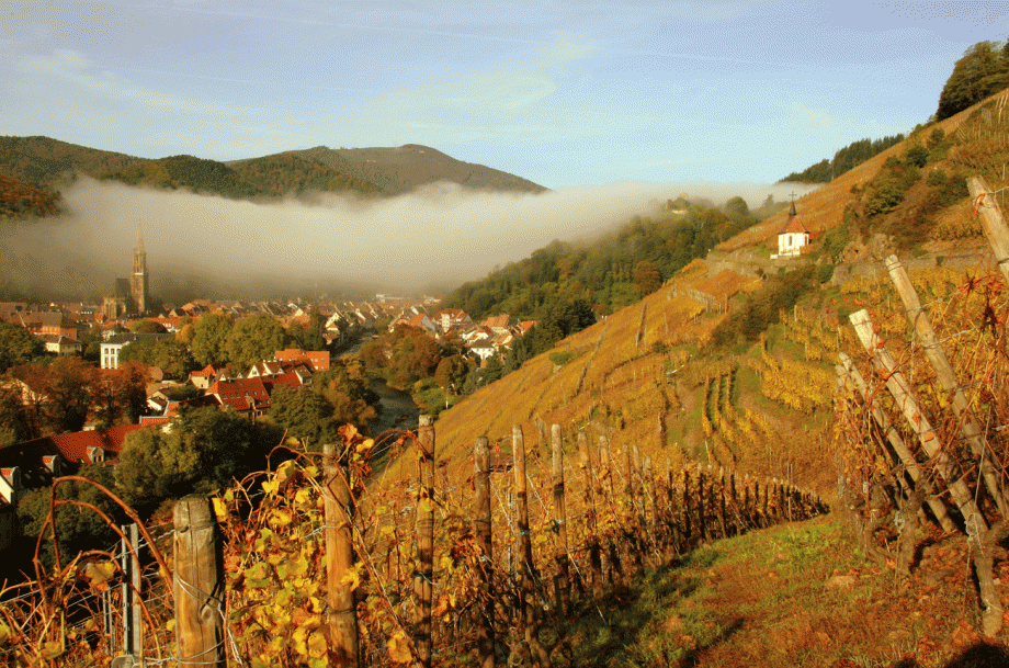 Domaine Zind-Humbrecht