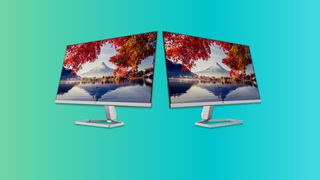 dual monitor black friday