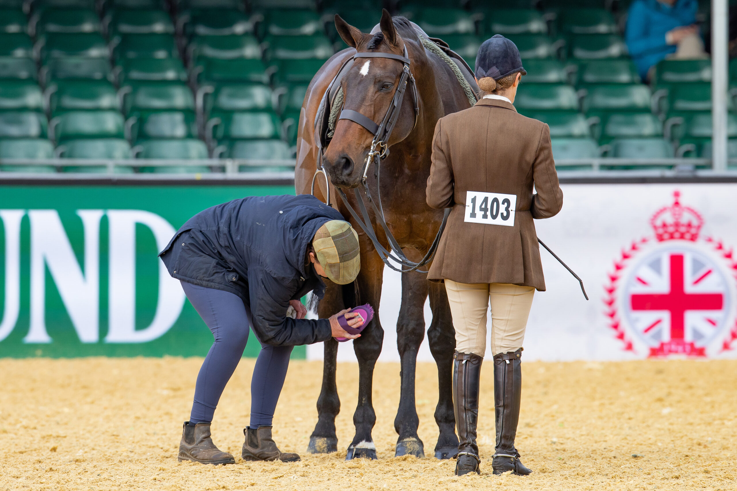 Handler and groom with horse in the ring at Royal Windsor Horse Show