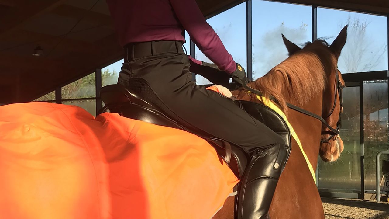 Equetech H2O winter breeches review