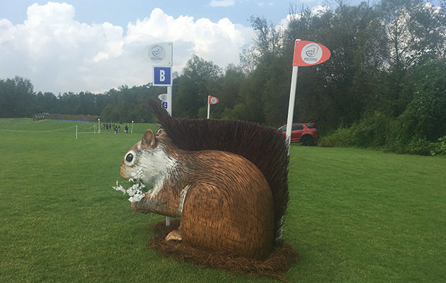 World Equestrian Games cross-country course