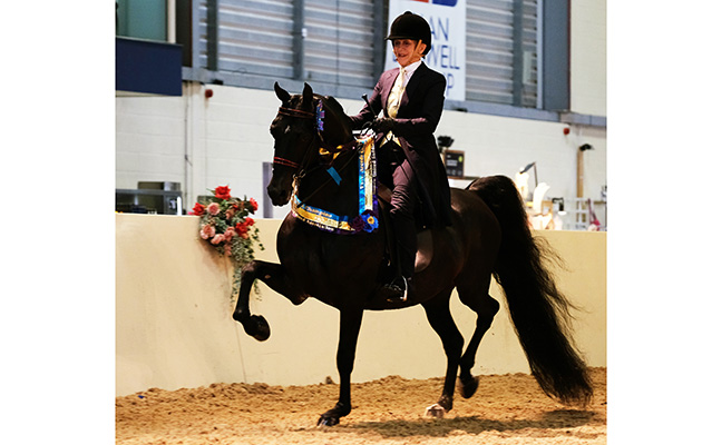 Angela-Conner-Bulmer-rides-Mogan-Stallion-Optimus-Prime.jpg