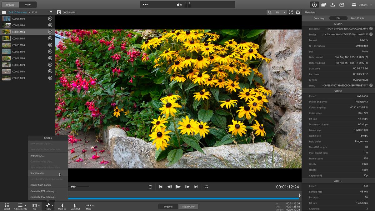 The Sony ZVE10 stores gyro data for stabilization but how well does